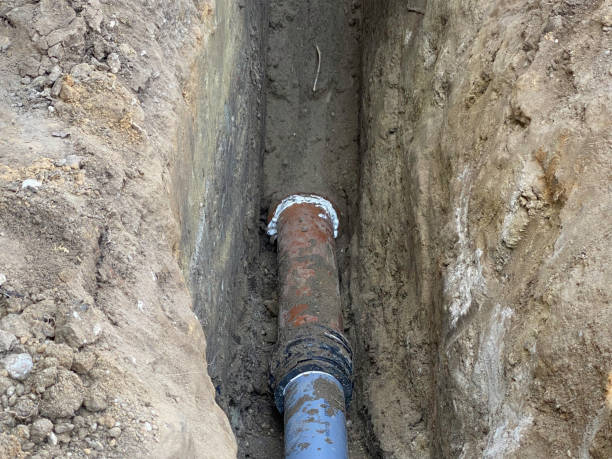 Best Flood damage cleanup  in New Haven, MO