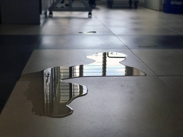 Best Water damage restoration cost  in New Haven, MO