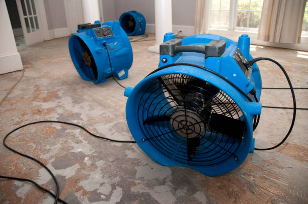 Reliable MO Water damage restoration Solutions