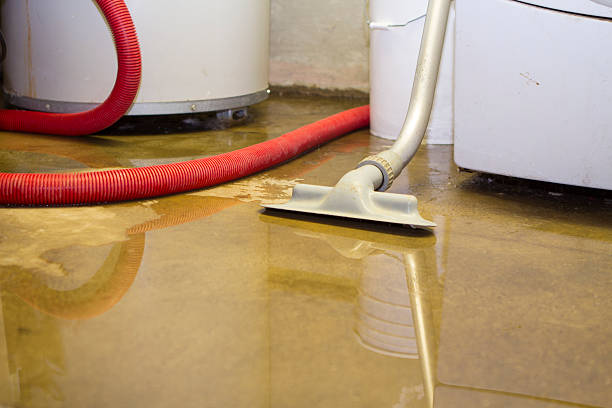 Best Sewage cleanup and water damage restoration  in New Haven, MO