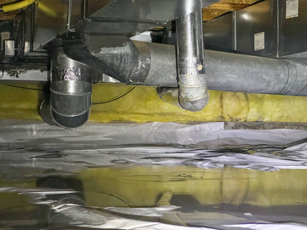 Best Fire Damage Restoration  in New Haven, MO