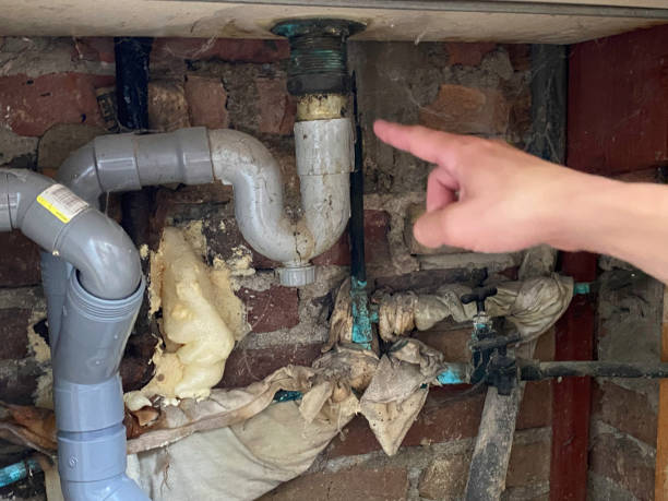 Best Carpet water damage restoration  in New Haven, MO