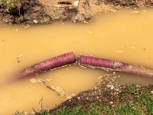 Best Emergency water damage restoration  in New Haven, MO
