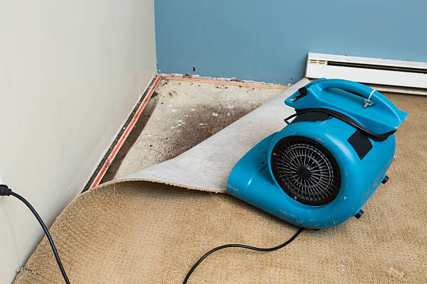 Best 24/7 water damage repair  in New Haven, MO